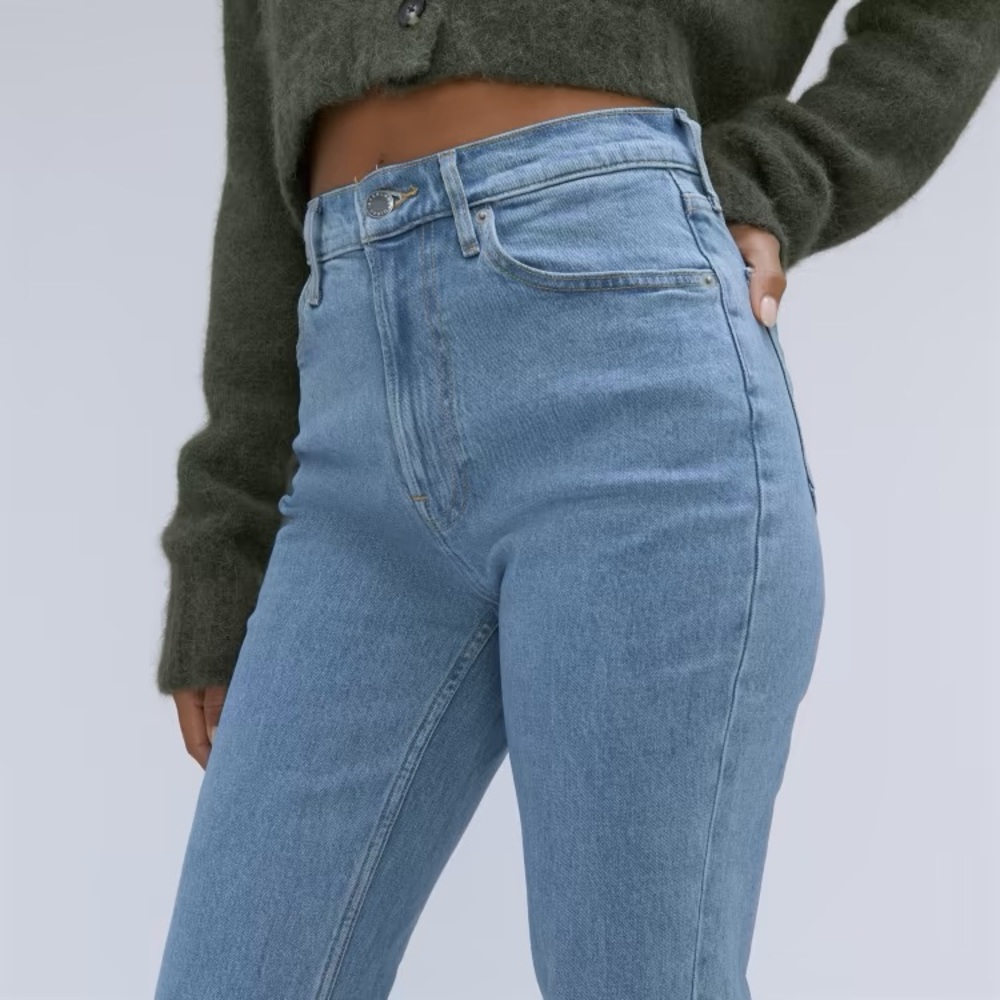 NWT Everlane Original Cheeky Jean size 24